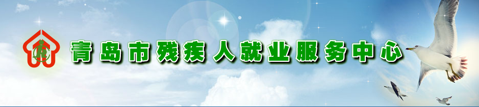 新中天为青岛市残疾人联合会2015年业务软件开发项目提供维保服务