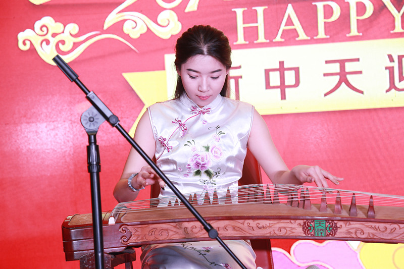 新中天2015-2016年度迎春晚会